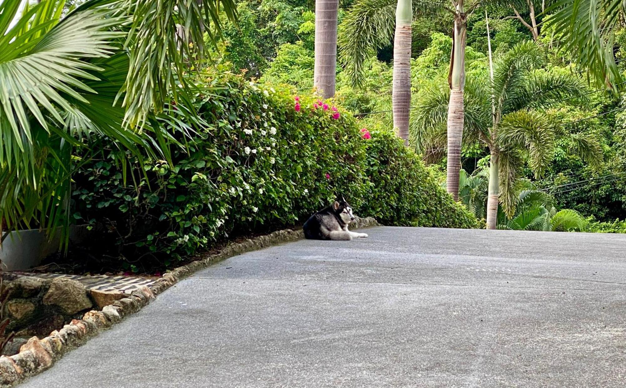 Ko Samui Seaview Pool Villa Seren With Car Laem Set Exteriér fotografie